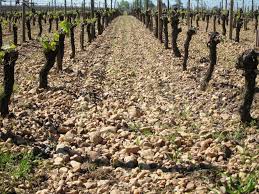 You'll be raising your glass many times in bordeaux, which is renowned for its wines, considered amongst the best in the world. Complete All About Bordeaux Wine Guide To The Best Bordeaux Wines