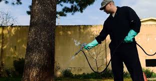 Major concerns including pest control windsor provide invaluable services to the society. How Often Should I Do Pest Control Today I M Home