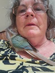 Let's welcome our new members! Katya Kardash, Cynthia Muniz, Wendy L.  Rodriguez-Bencosme, Sophie Harris, LH Hdez, حسن الأكرم, Heena Kuvar Kinnar,  Chanell Koppeschaar, Ela Gabriela, Rick Hatfield, Rita Thompson, Lovely  Parrots For