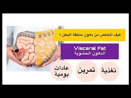الدهون الحشوية كيف اتخلص من دهون البطن Youtube
