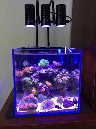 Marine Led Light Coral Sps Lps Grow Mini Nano Aquarium Sea Reef Tank White Blue Purple Hang On Bend Fix Aquarium Sea Aquarium Aquariumled Aquarium Tank Aliexpress