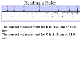 It's a great way to practice 2nd grade common core standards for measurement and data. Image Result For How To Read A Metric Ruler In Mm Practices Worksheets Reading A Ruler Ruler