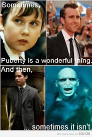 Puberty Harry Potter Jokes Harry Potter Puns Harry Potter Funny