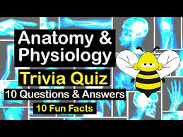 Which organ has four chambers? Anatomy And Physiology Quiz Video Fun Basic Quiz Beez