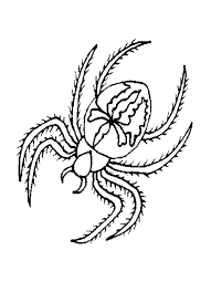So what are you waiting for download these super. Free Printable Spider Coloring Pages For Kids Coloring Home