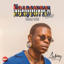 Download Mp3 Aubrey Qwana Ngaqonywa Remix Ft Dj Tira Fakaza