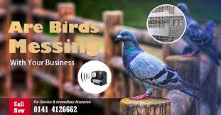 Bird Netting For Fruit Trees Bunnings Birdcontrol Birdnetting Birdspikes Birdfree Bunnings Bird Control Bird Netting Birds