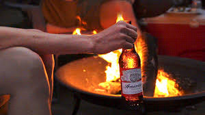 Bonfire Gifs Get The Best Gif On Giphy