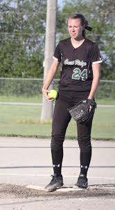 Lady Cougars win sectional bout