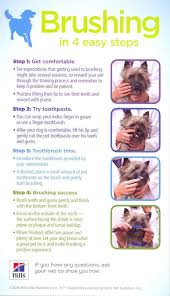 How To Brush Your Dog S Teeth Doggy Recipes Pinterest Dog Teeth Cleaning Dog Teeth Dog Care Tips