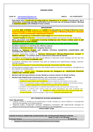 bfsi business analyst resume