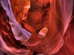 Bare Trees Winter Snow Wallpaper Scorched Earth Capitalism Iran Is Iraq Redux Canyon Antelope Canyon Beautiful Nature Wallpaper