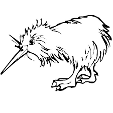 Kiwi Bird Wet Hair Coloring Pages Download Print Online Coloring Pages For Free Color Nimbus Online Coloring Pages Coloring Pages Online Coloring