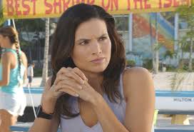 The detectives are part of an elite task force whose mission is to eliminate crime on the. Hawaii Five 0 Katrina Law Preview Quinn Reveal Series Finale Tvline