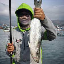Umpan Alami Ikan Belanak Paling Jitu Hobi Mancing