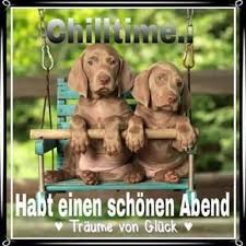 Jeftine cene smeštaja za putnike. Jetzt Endlich Zuhause Und Fusse Hoch Legen Das Wetter Gibt Einem Den Rest Cute Dogs Puppies Pets