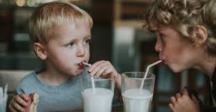 Milk 101 Nutrition Facts And Health Effects