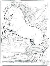 Download Free Printable And Coloring Pages Barbie Horse Majesty Horse Coloring Pages Animal Coloring Books Horse Coloring