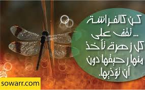 صور مضحكة صور اطفال صور و حكم موقع صور Arabic Quotes Inspiration