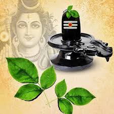 Lord Shivas favourite flowers and leaves