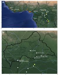 The monkeypox virus can affect humans and certain animals. Genomic History Of Human Monkey Pox Infections In The Central African Republic Between 2001 And 2018 Scientific Reports