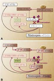 Meaning of factor xa medical term. Possible Reversal Of Factor Xa Inhibitors A Treatment With A Direct Download Scientific Diagram