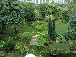 Jardin Arbore Jardin Maison Jardins Maison