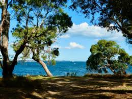 Winner announced for 2022 Flinders Christmas Card Competition