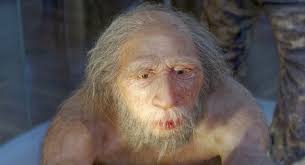 12 Incredible Creatures We Lost With the Ice Age