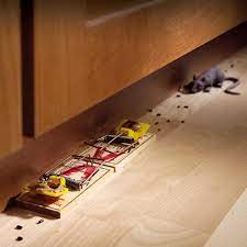 Involves controlling pests by using chemicals on crops and using a small amount on fruits or plants for consumption, there may be a risk of toxicity to consumers. Do It Yourself Pest Control Strategies And Techniques Pest Prevention Diy Pest Control Pest Control