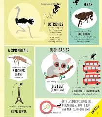 Infographics For Kids Susan Martineau Vicky Barker 9781580897235 Amazon Com Books Graphic Design Layouts Infographic Graphic Design Inspiration