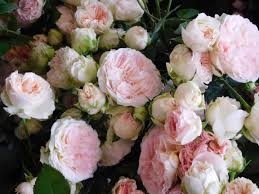 Using some simple and sensible tricks recommended by a professional florist, you can make your blooms last a lot longer. How To Make Flowers Last Longer The Produce Nerd