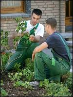 Ausbildung von gärtnern, floristen, forstwirten und tierpflegern. Gartner In Fachrichtung Garten Und Landschaftsbau Gartenbauzentren Der Landwirtschaftskammer Nrw