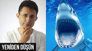 Yeniden Dusun
