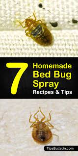 With that being said the best do it yourself bed bug spray. Getting Rid Of Bed Bugs 7 Homemade Bed Bug Spray Recipes And Tips