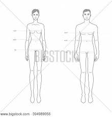 A part of the body between the stomach and the neck, containing the heart and lungs example: Men Women Standard Vector Photo Free Trial Bigstock