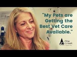 My Animals Get the Best Care