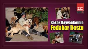 Izmir De Yasayan Celal Uner Sokak Hayvanlari Nin Fedakar Dostu Olduege De Izmir Haber Ege Haber Izmir Haberleri Ege Haberleri Son Dakika Izmir Torbali Haberleri Buca Bornova Karsiyaka