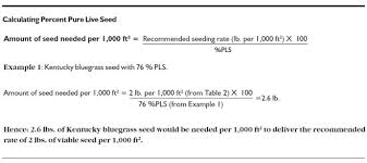 turf seeding rate considerations umass center for