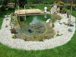 Naturpool 9 Bestrittene Mythen Garten Pooldesign Zenideen Fountains Outdoor Ponds Backyard Swimming Pool Pond