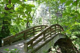 If you ran it the trail is maybe 15 minutes long. Botanical Gardens Asheville Painting En Plein Air Artist Brennen Mcelhaney