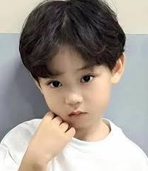 I want solar. Any recommendations?