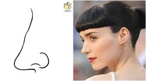The #1 wine shop when you are ready to shop wine. 8 Types Of Noses And What Its Shape Reveals About Your Personality