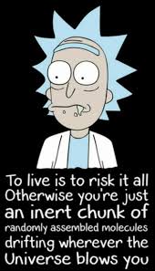 Pin By Cookie Bert On Rick Morty Rick Morty Quotes Rick Morty Quotes