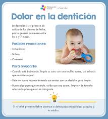 Guia Practica Para El Desarrollo De Tu Hijo Educacion Inicial Primeros Dientes Del Bebe Escuela De Higiene Dental Educacion Del Bebe