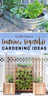 12 Brilliant Container Vegetable Gardening Ideas The Garden Glove Container Gardening Vegetables Growing Vegetables In Pots Diy Container Gardening