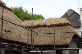 Kolekce podle kategorie eva grochová • poslední aktualizace: 7 Thatch Design Points For Architects To Consider Thatch Advice Centre