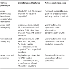 When you have an infection, your immune system produces special cells to fight off disease. Frontiers Cardio Immunology Of Myocarditis Focus On Immune Mechanisms And Treatment Options Cardiovascular Medicine