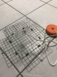 Find deals on crab snare traps in fishing gear on amazon. How Do I Use This Crab Trap Fishing