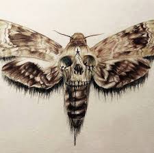 Death Head Moth Moth Tattoo Moth Tattoo Design Death Moth Tattoo